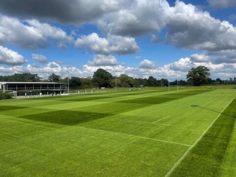 Rugby Stadium and Pitch